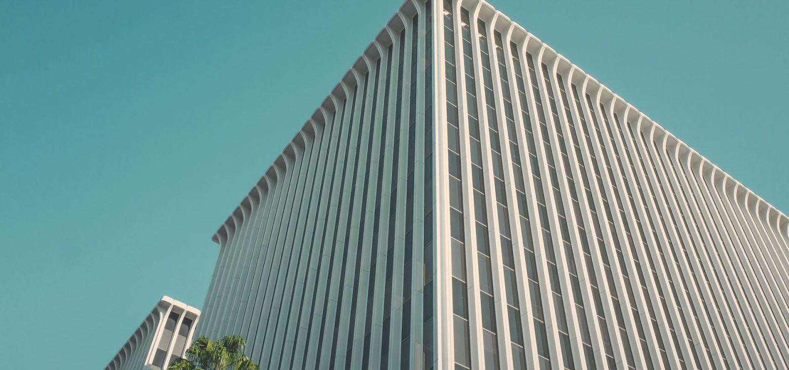 Imatge 17 de Serrano Fontova